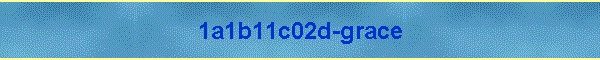 1a1b11c02d-grace