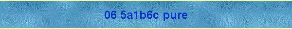 06 5a1b6c pure