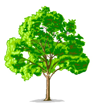 tree04.gif