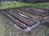 Corn-garden-05e06.jpg (92656 bytes)