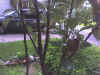 Photo_070206_003.jpg (98118 bytes)