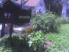 Photo_072906_006.jpg (101303 bytes)
