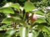 PICT0014.JPG (3041721 bytes)