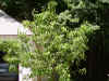 PICT0017.JPG (3010574 bytes)