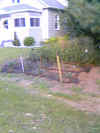 bernies-garden02.jpg (79930 bytes)